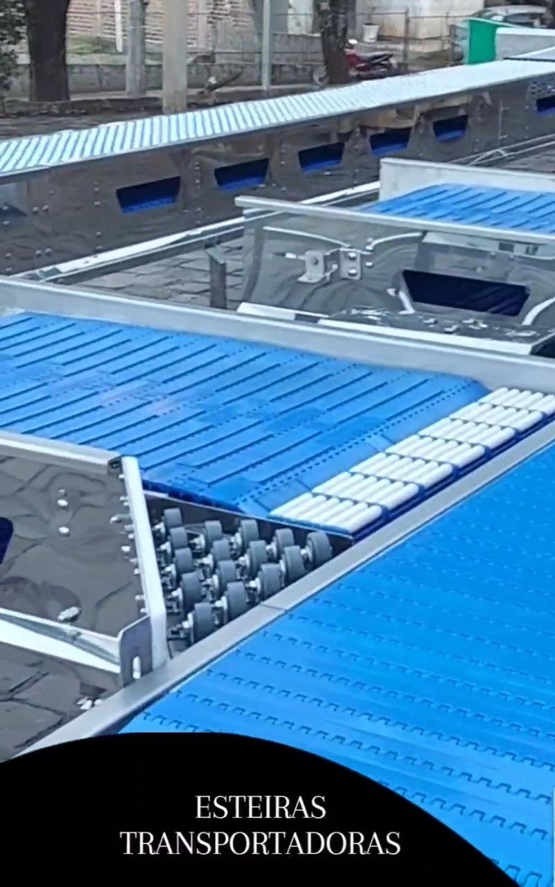 Esteira Para Agroindústrias??
